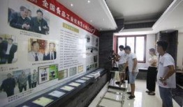 音乐大厅最新爆料视频,最新爆料视频带你领略现场魅力